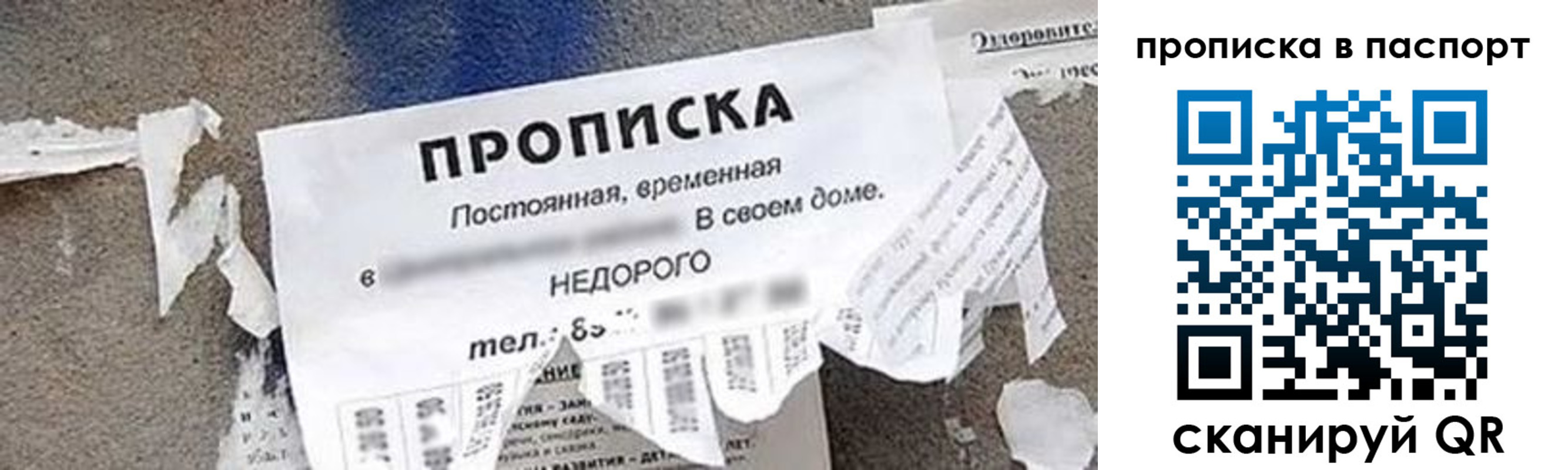 где прописаться в Шебекино